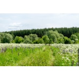 Дорога до Кременок - 01.jpg